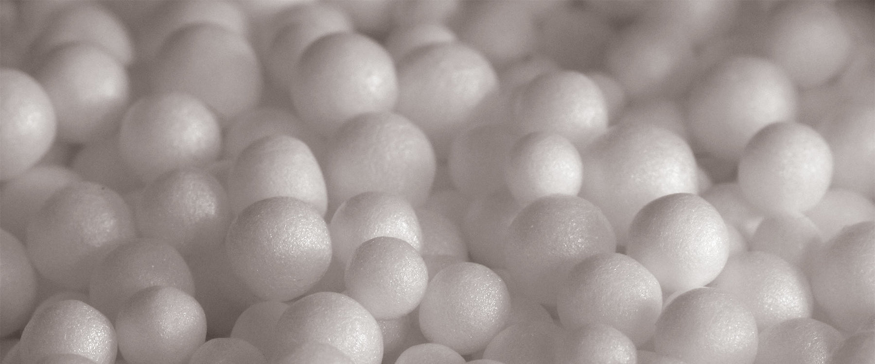 beans header